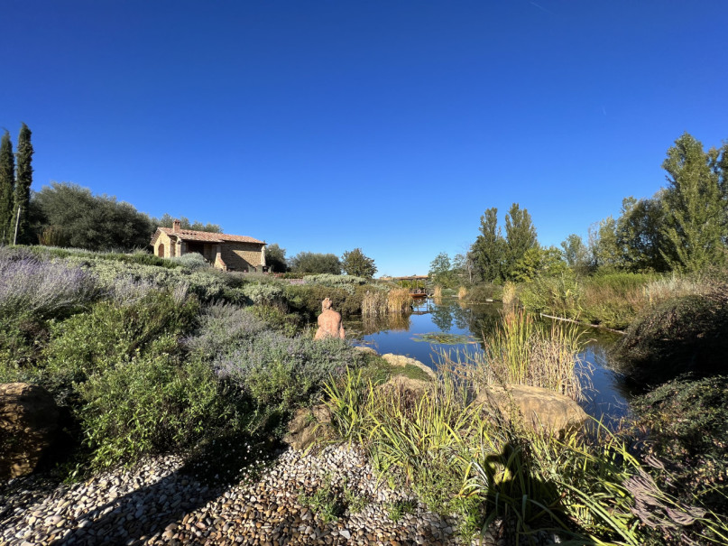 plush74 beneficio 20(1)