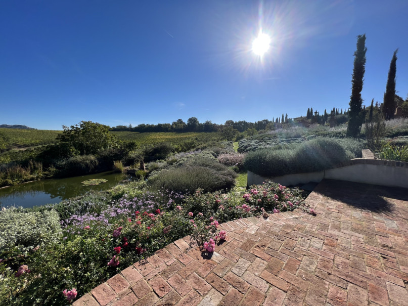 plush74 beneficio 23(1)