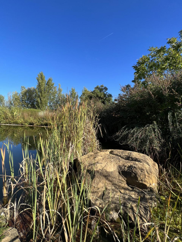 plush74 beneficio 26(1)