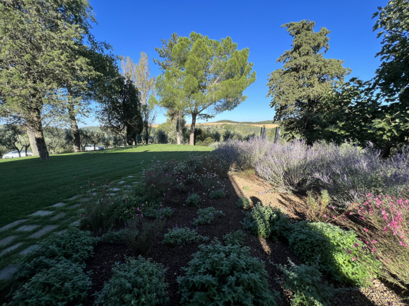 plush74 beneficio 32(1)