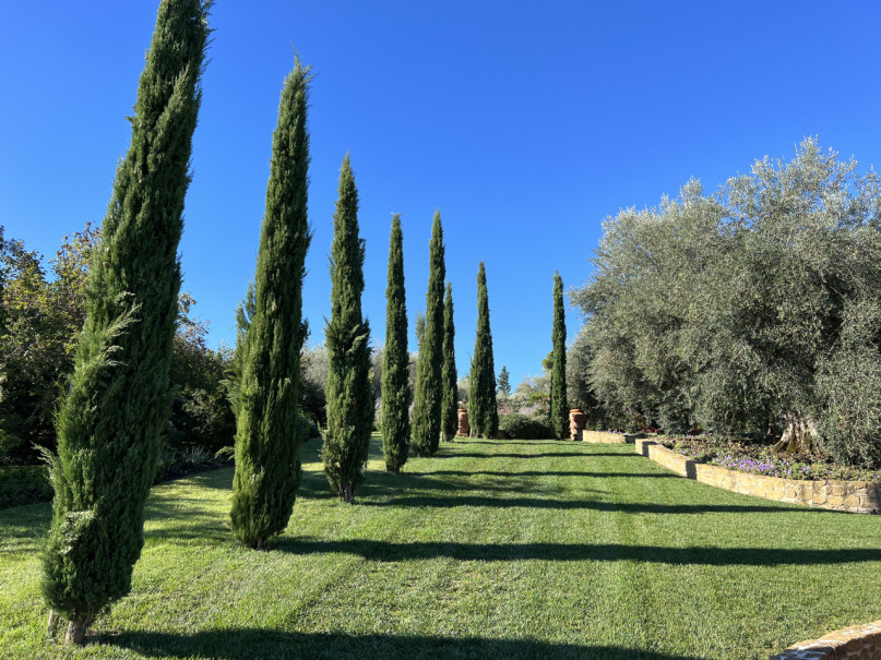 plush74 beneficio 35(1)