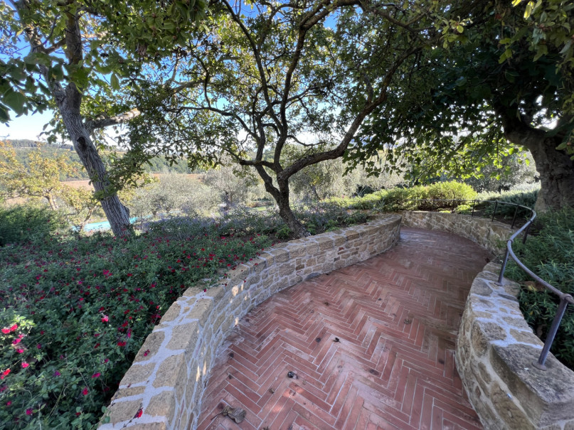 plush74 beneficio 37(1)