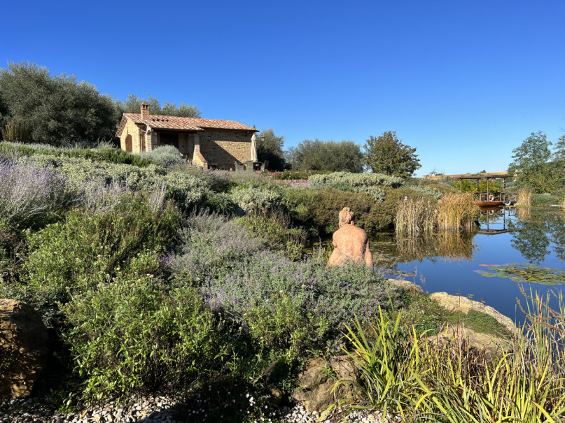 plush74 beneficio 39(1)