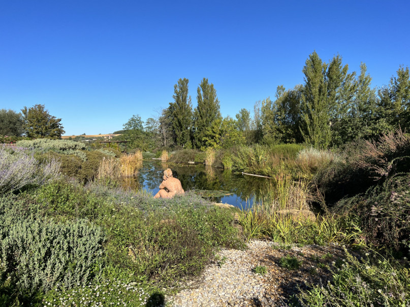 plush74 beneficio 41(1)