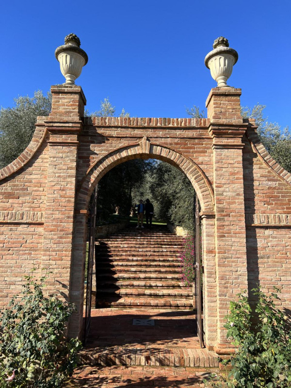 plush74 beneficio 46(1)