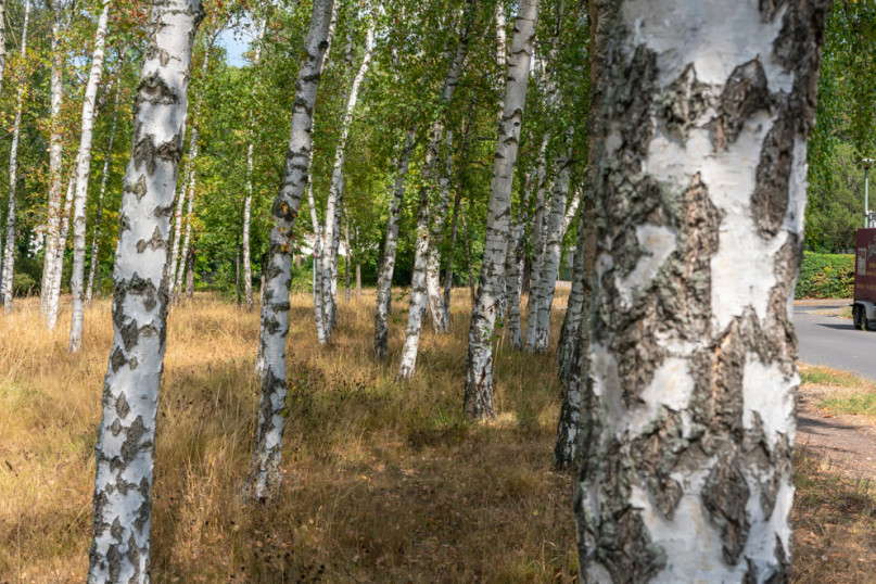 plush74 berlin location rental film scout photo village american style28