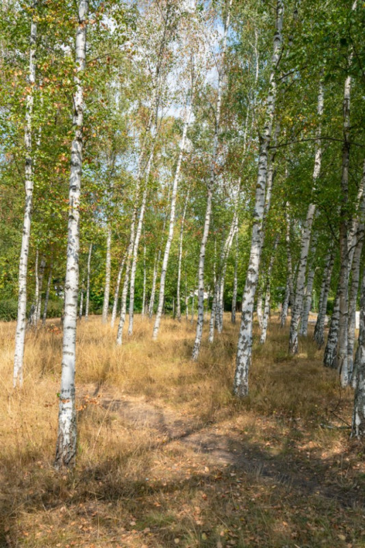 plush74 berlin location rental film scout photo village american style32