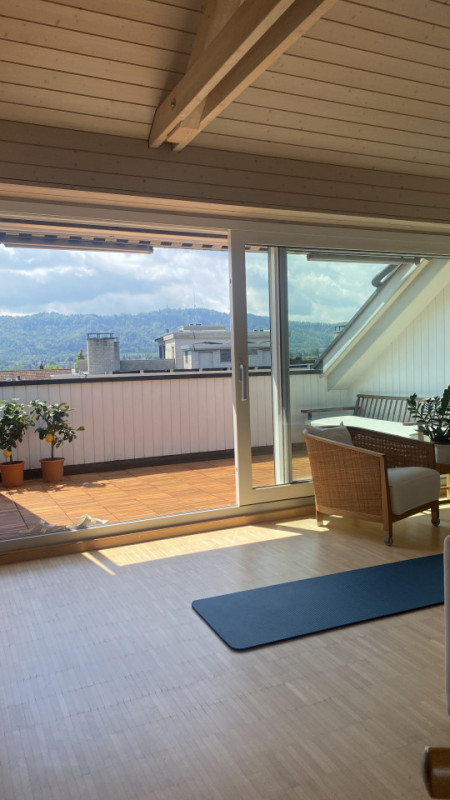 plush74 bright and airy seefeld attic loft 14