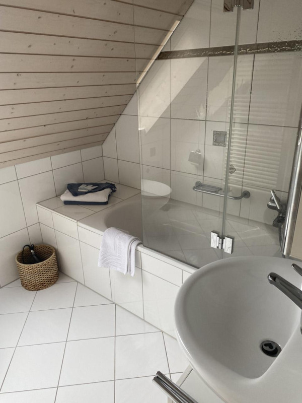 plush74 bright and airy seefeld attic loft 8(1)