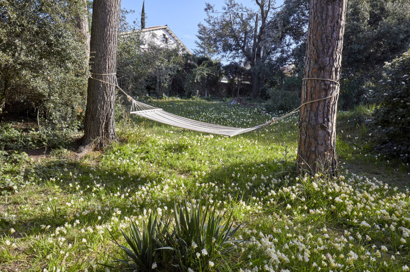 plush74 casa gretzky1 12