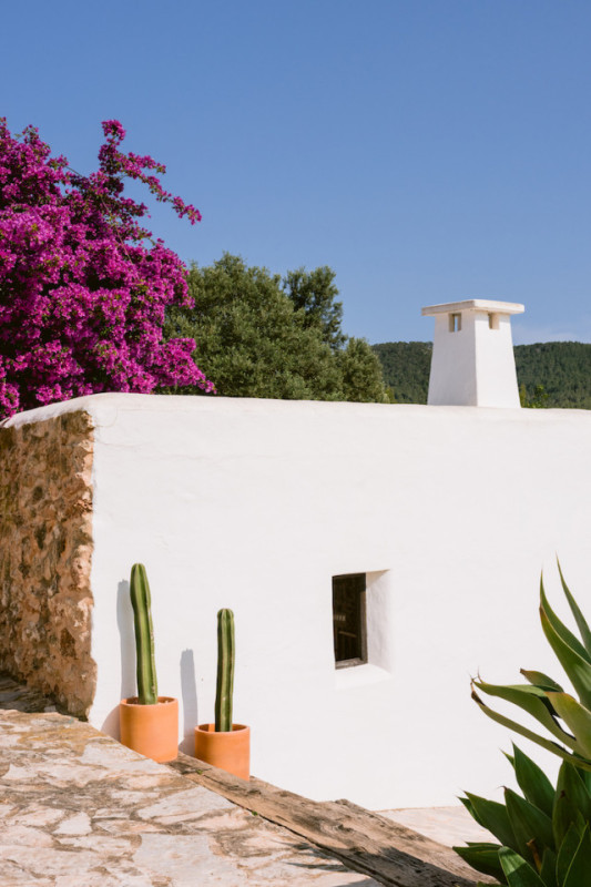 plush74 charming ibiza pool villa 9