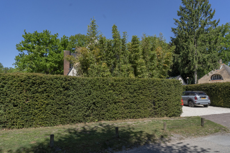 plush74 clean modern villa laren 57