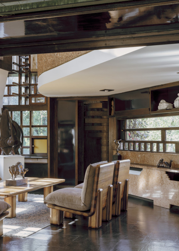 plush74 coleottero 10