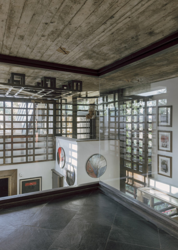 plush74 coleottero 14