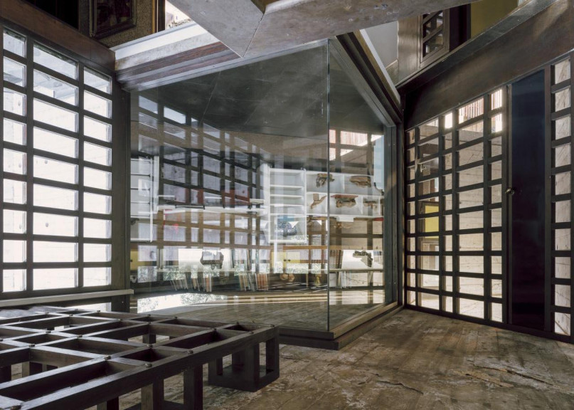 plush74 coleottero 15(1)