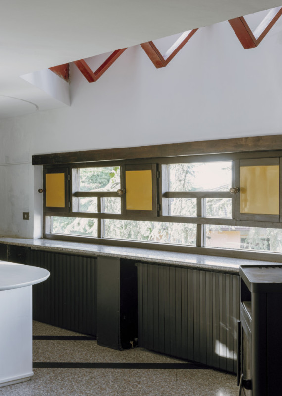 plush74 coleottero 18