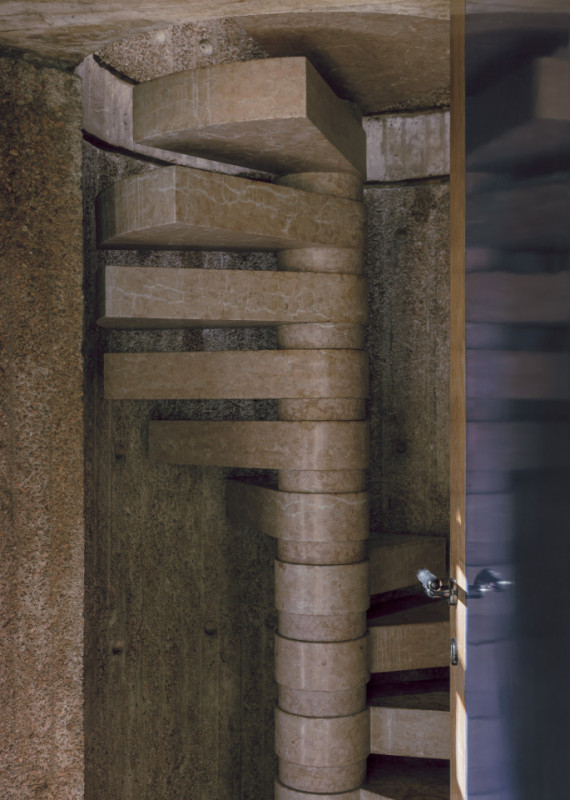 plush74 coleottero 24