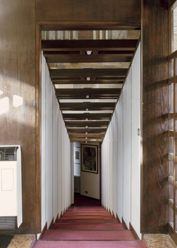 plush74 coleottero 30