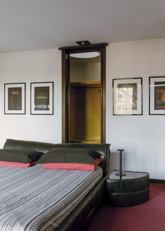 plush74 coleottero 33