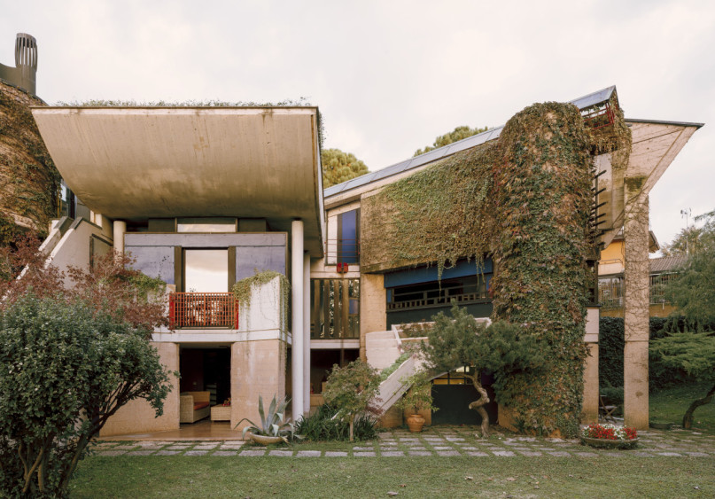 plush74 coleottero 36