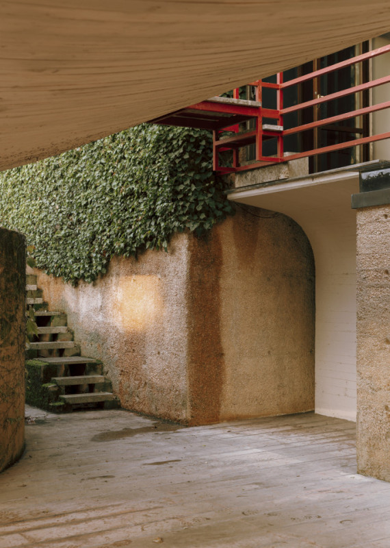 plush74 coleottero 37(1)