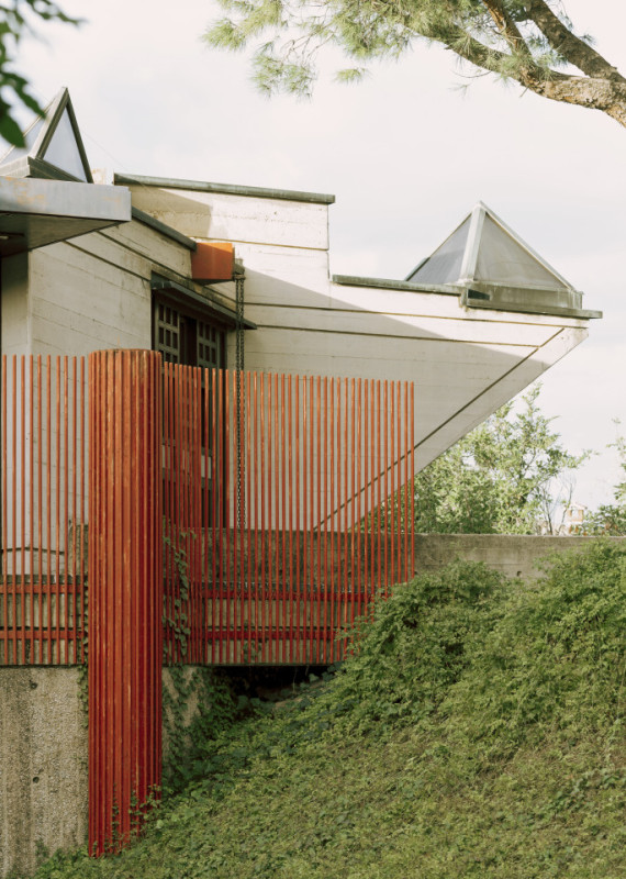 plush74 coleottero 46