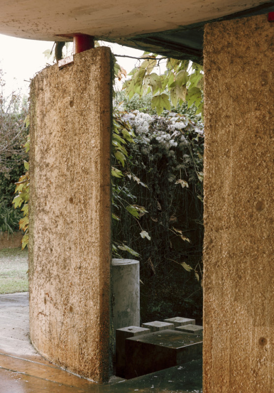 plush74 coleottero 49