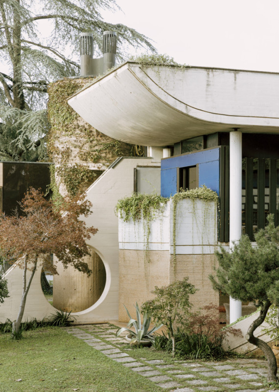 plush74 coleottero 53(1)