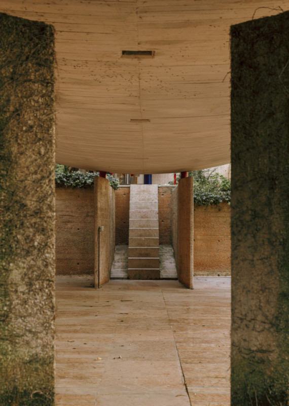 plush74 coleottero 55