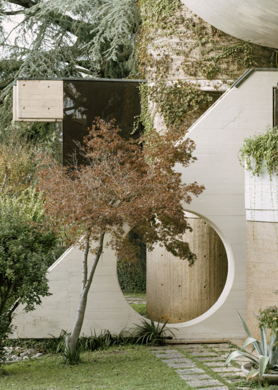 plush74 coleottero 56