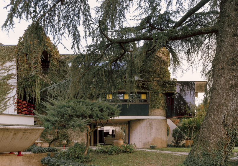 plush74 coleottero 57