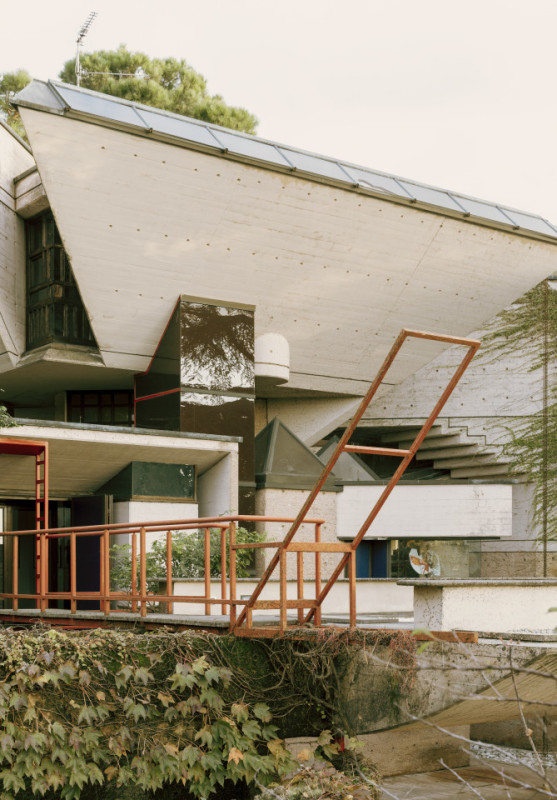 plush74 coleottero 6(1)