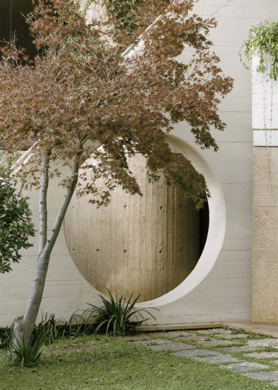 plush74 coleottero 60