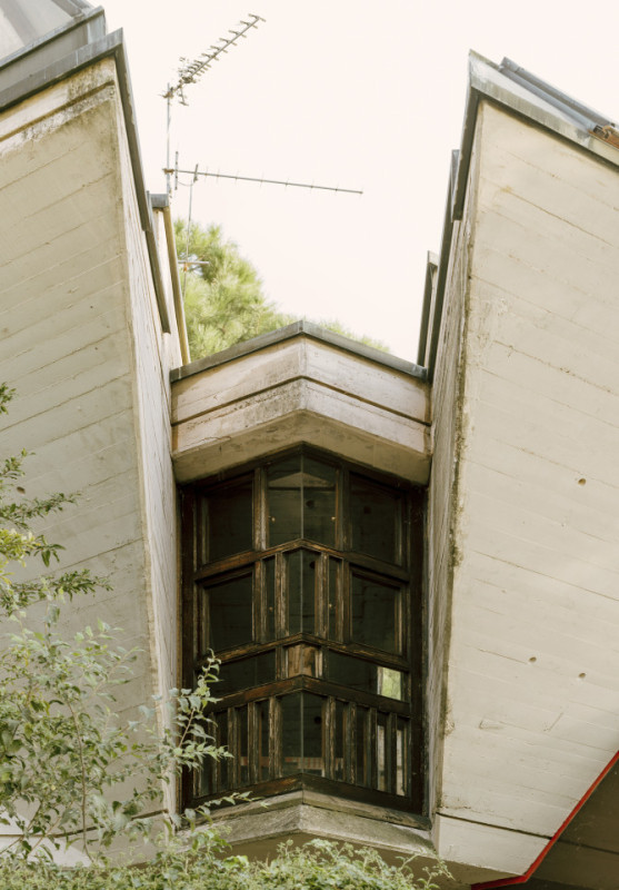 plush74 coleottero 61