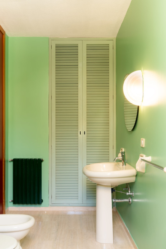 plush74 coleottero1 1 (3)