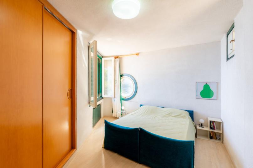 plush74 coleottero1 10 (7)