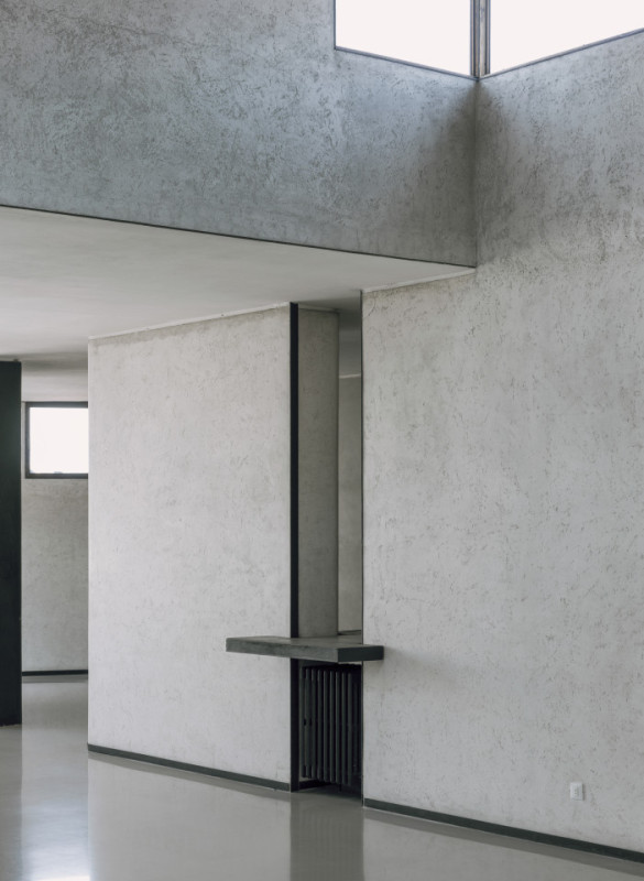 plush74 coleottero1 11