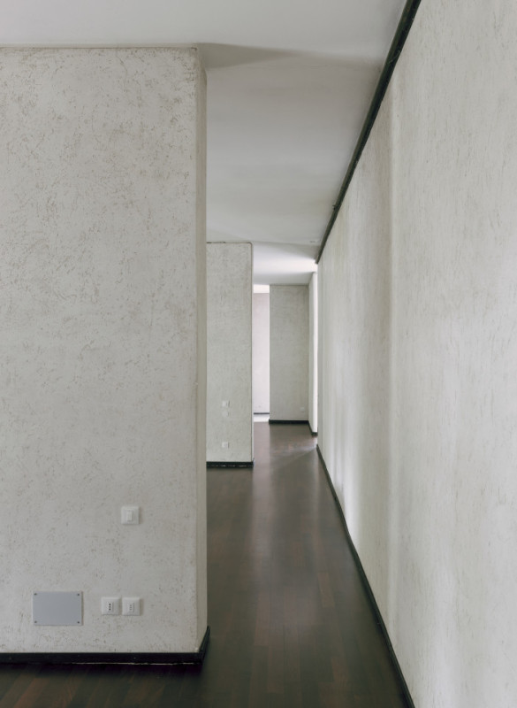 plush74 coleottero1 12 (1)