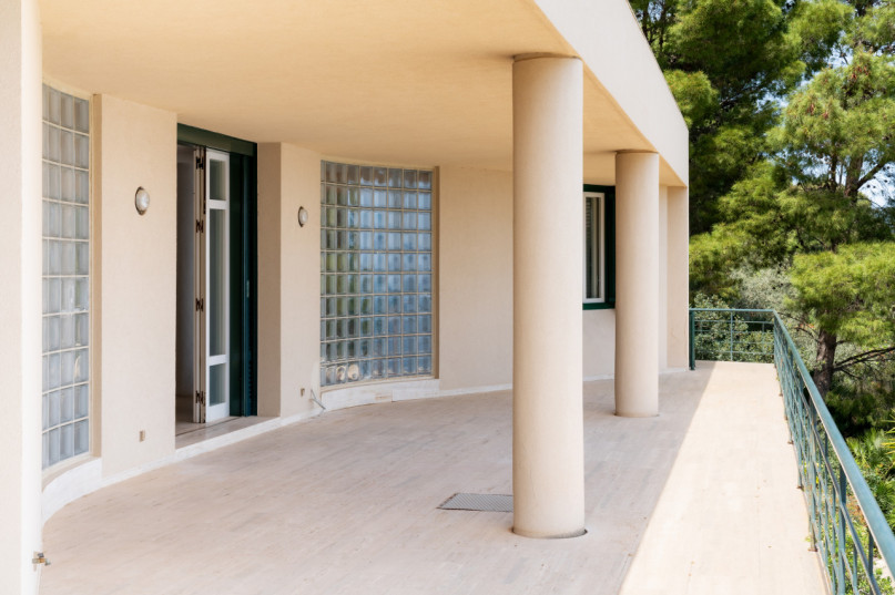 plush74 coleottero1 17 (1)