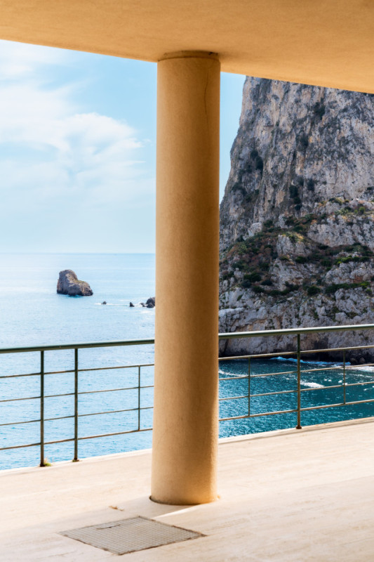 plush74 coleottero1 17