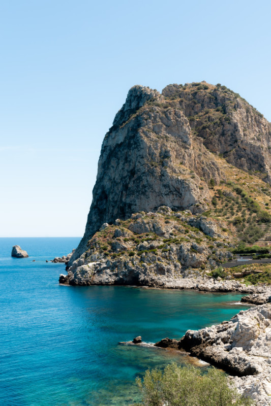 plush74 coleottero1 21