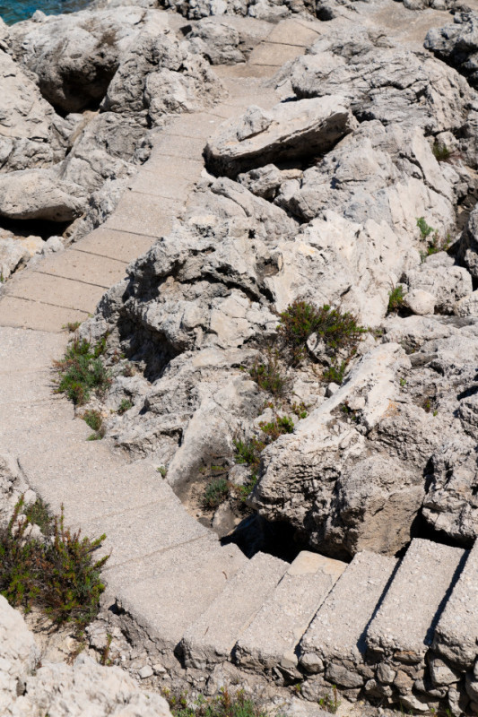 plush74 coleottero1 24 (1)