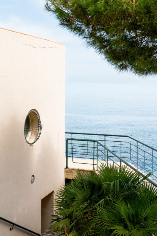 plush74 coleottero1 24 (4)