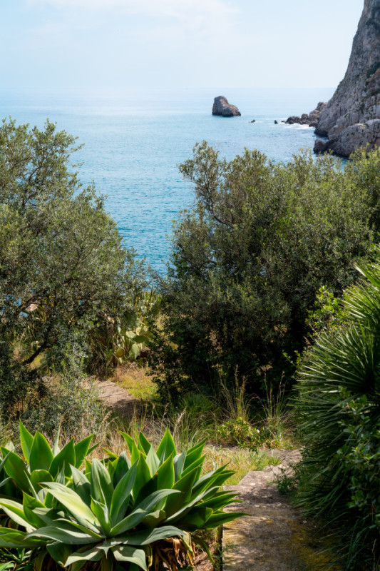 plush74 coleottero1 24