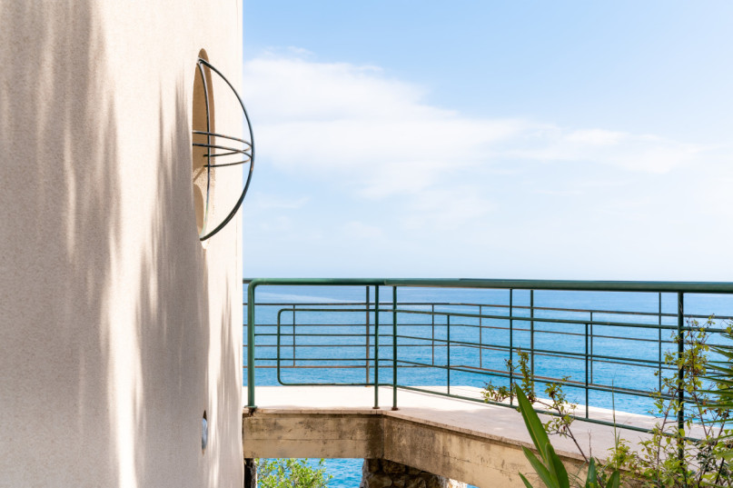 plush74 coleottero1 9 (1)