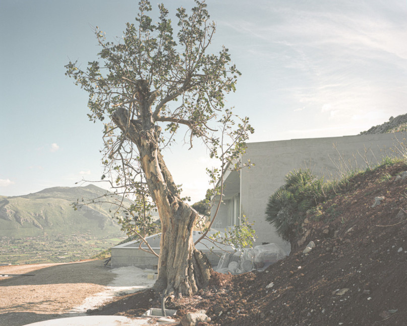 peluche74 cemento villa sicilia 5