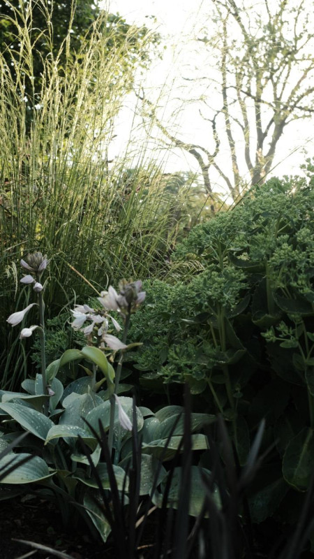 peluche74 campagna serenità uckermark 21(1)