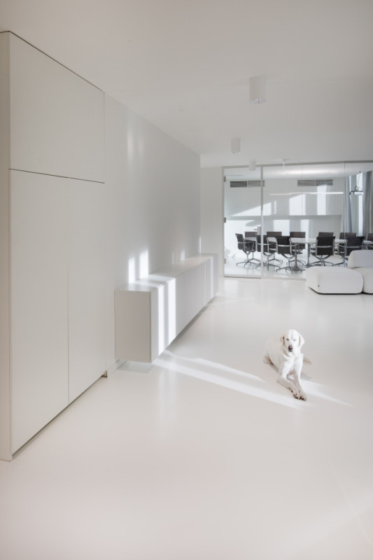 plush74 creamy office 3