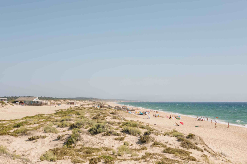 peluche74 comunità creativa portogallo 19