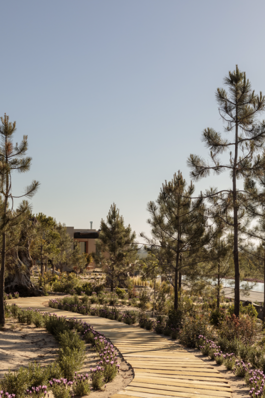 peluche74 comunità creativa portogallo 26